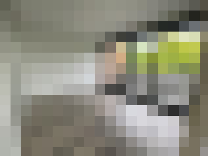 Image 20
