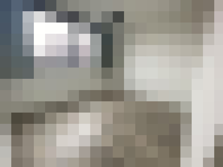 Image 22