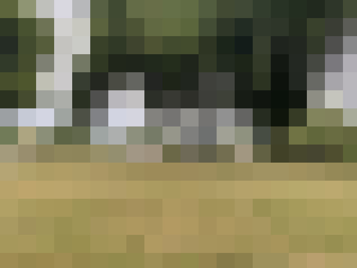 Image 29