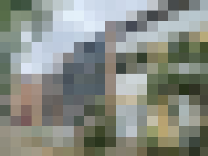 Image 31