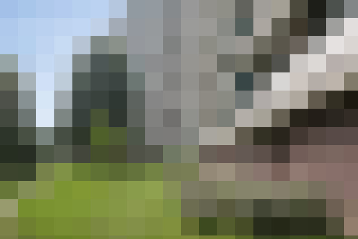 Image 15
