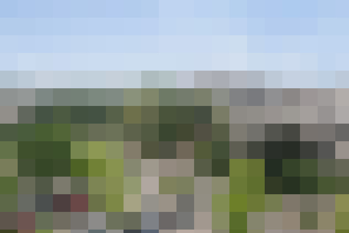 Image 13