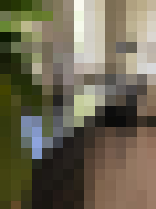 Image 14