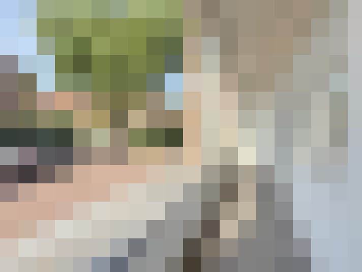 Image 20