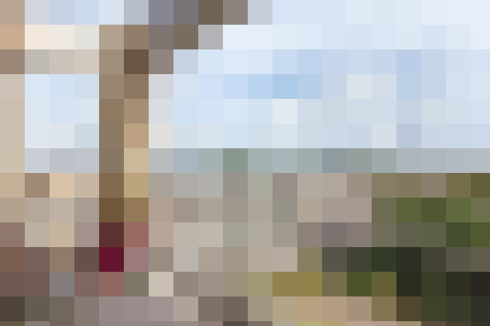 Image 17