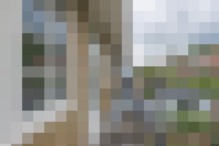 Image 16
