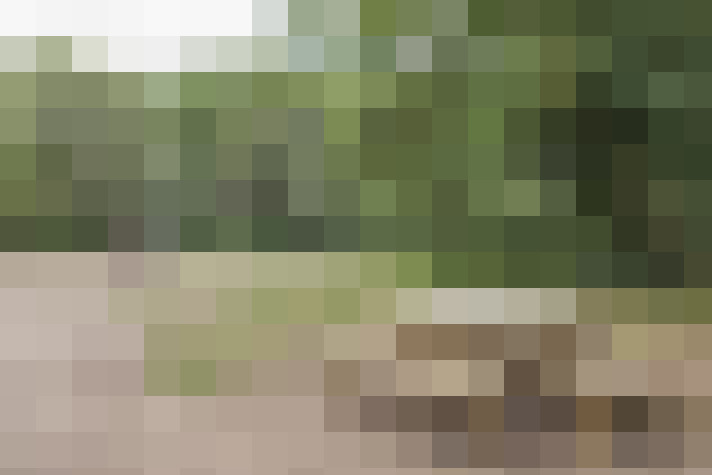 Image 36
