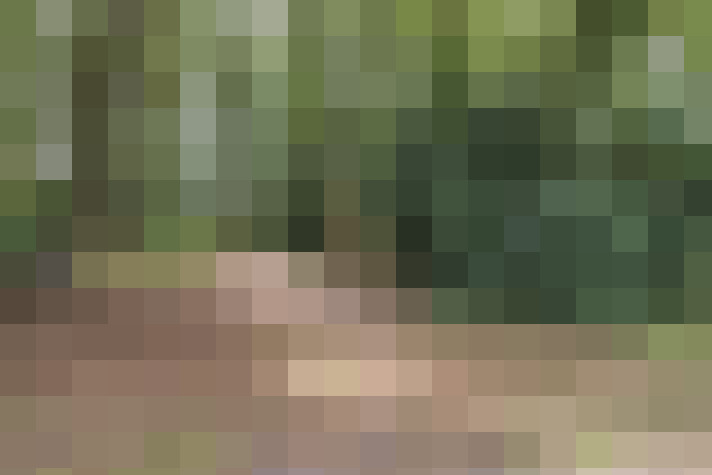 Image 35