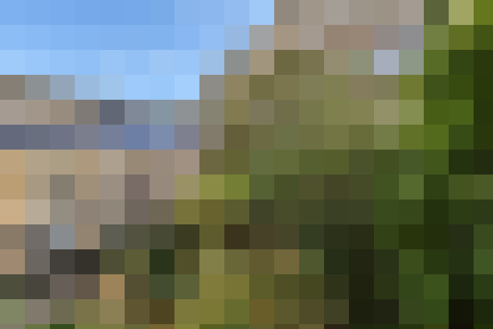 Image 20
