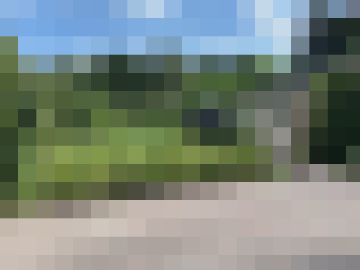 Image 16