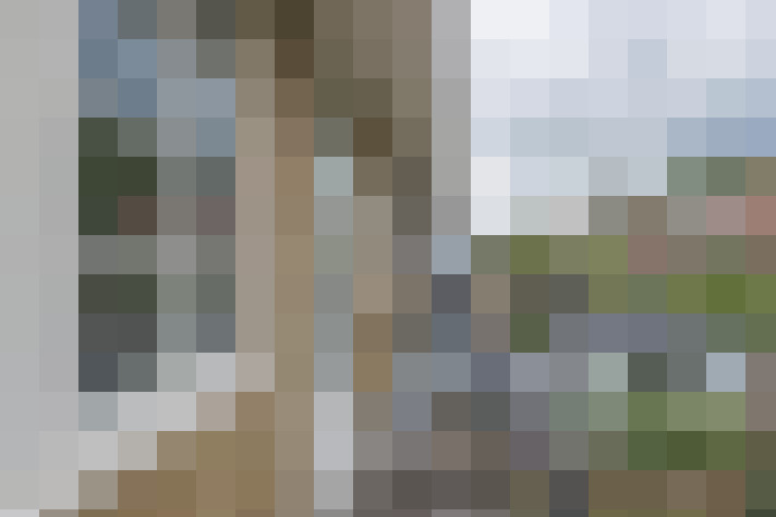 Image 16
