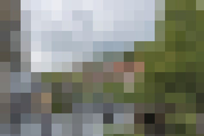 Image 17