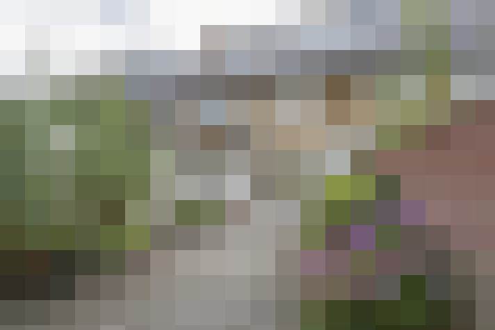 Image 32