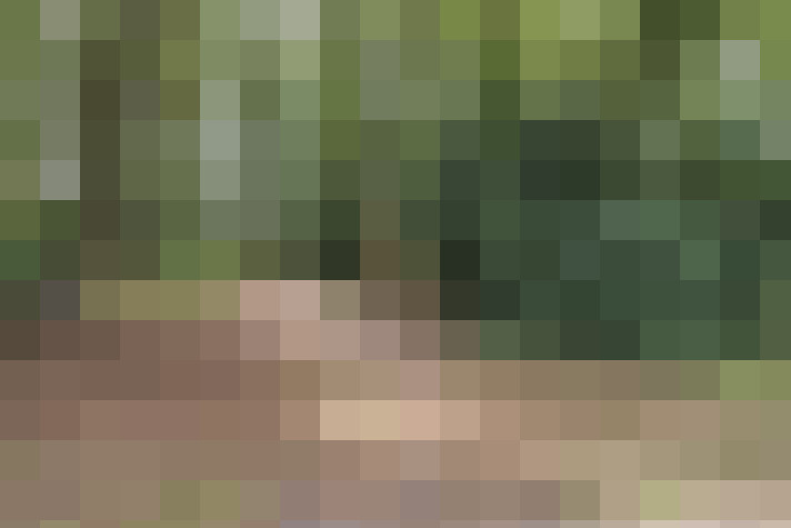 Image 35