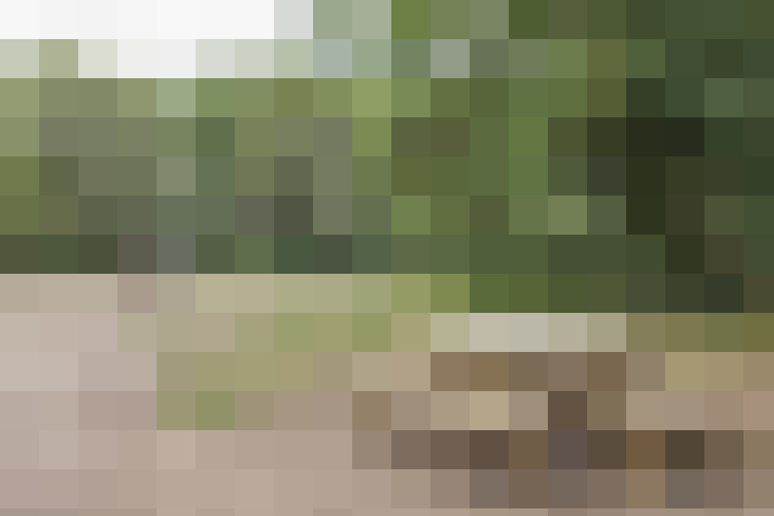 Image 36