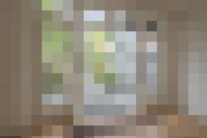 Image 30