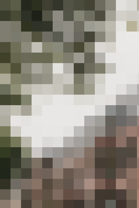 Image 31