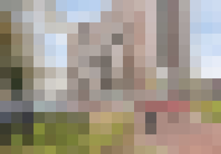 Image 22