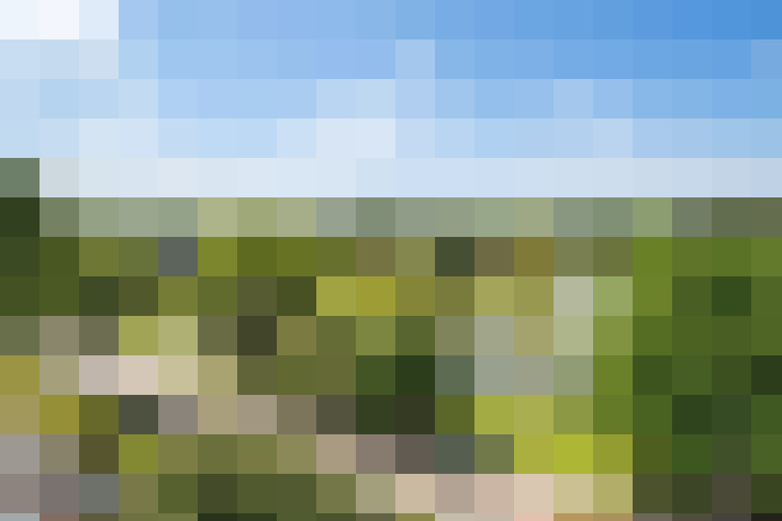 Image 22