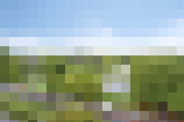 Image 23