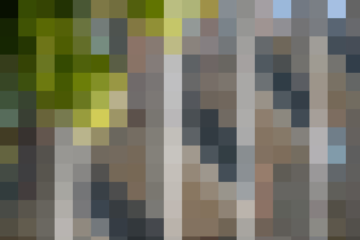 Image 17
