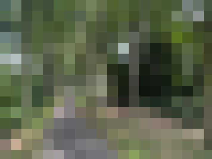 Image 20