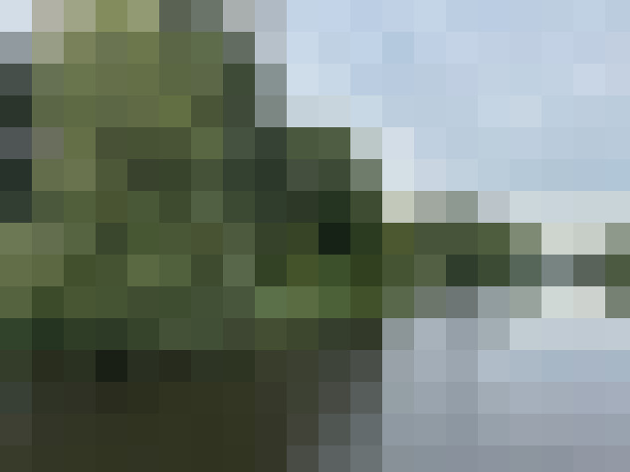 Image 34
