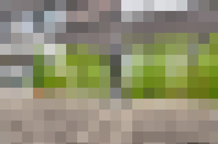 Image 29