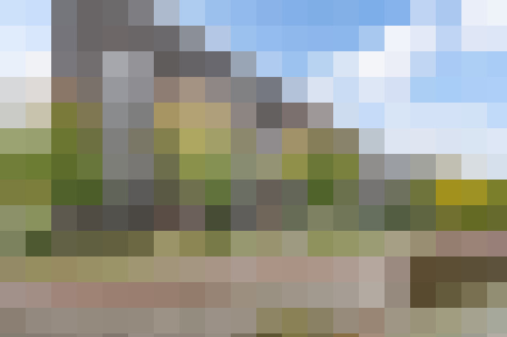 Image 33
