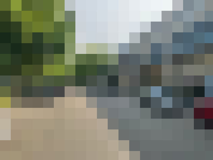 Image 13