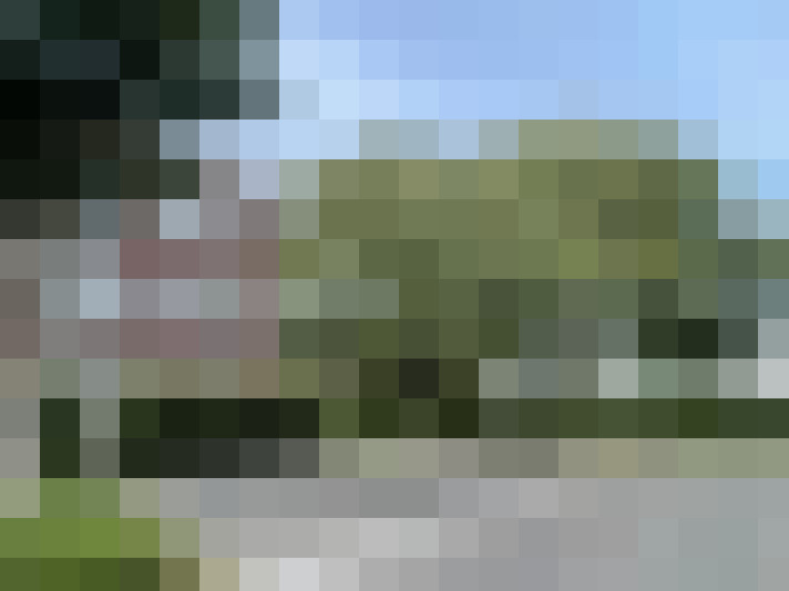 Image 14