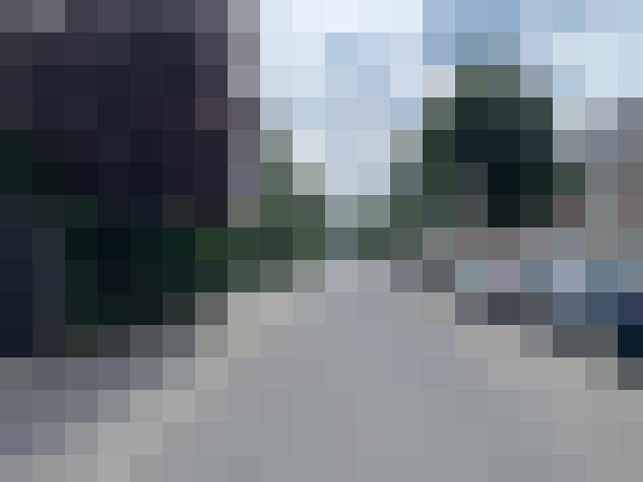 Image 15
