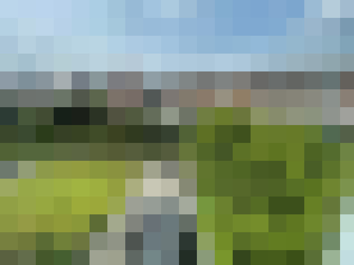 Image 16
