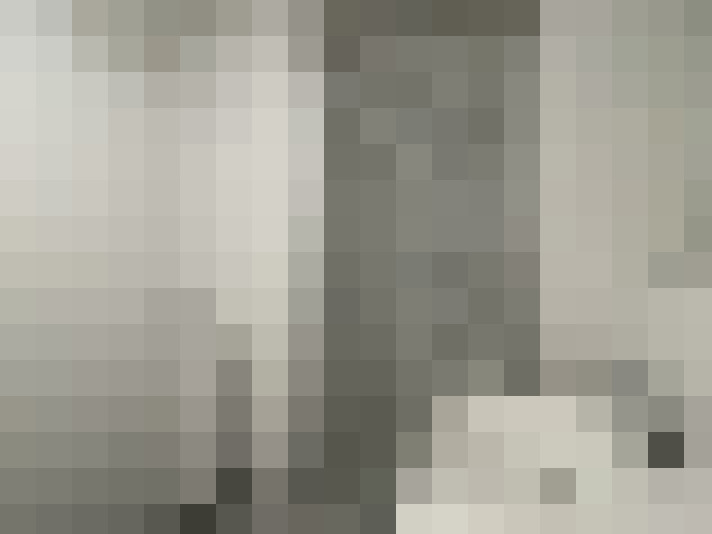 Image 14