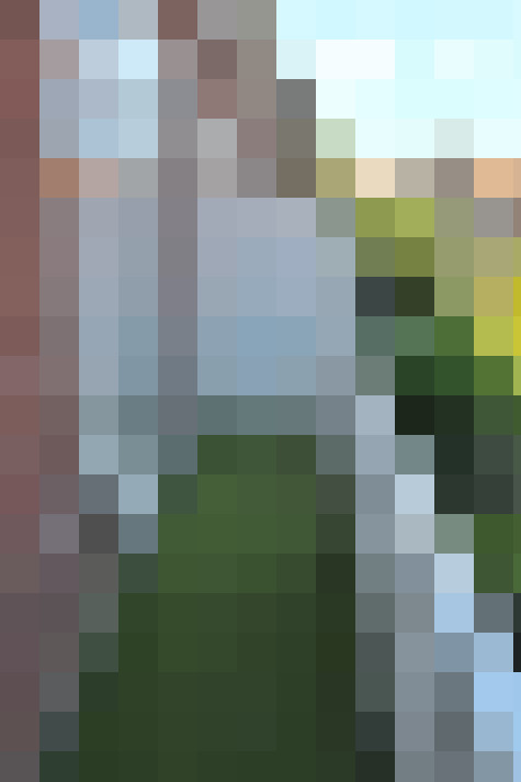 Image 22
