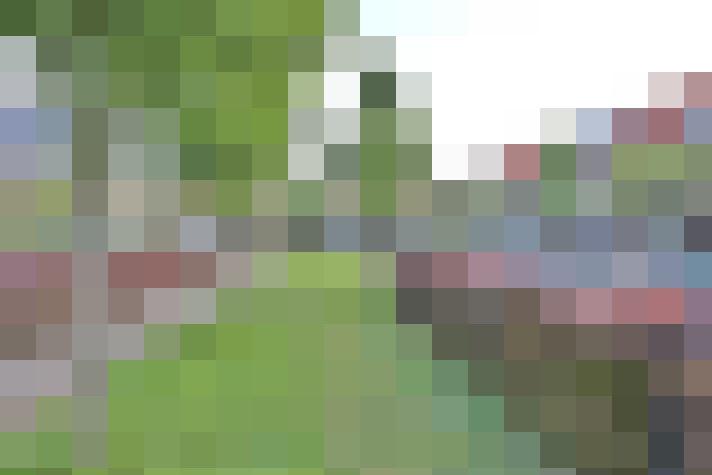 Image 24