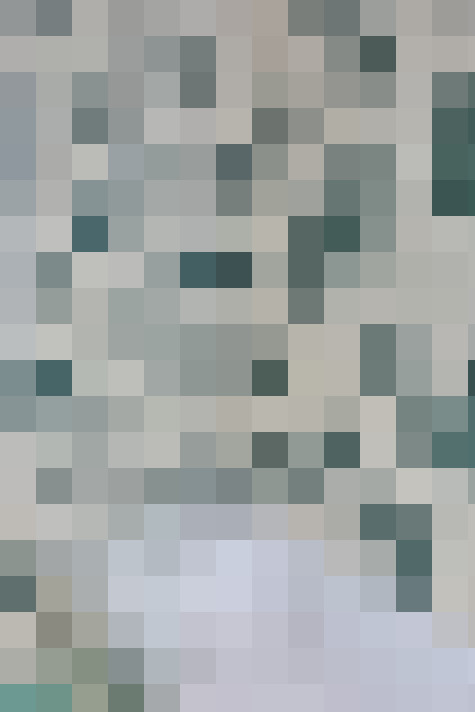Image 20