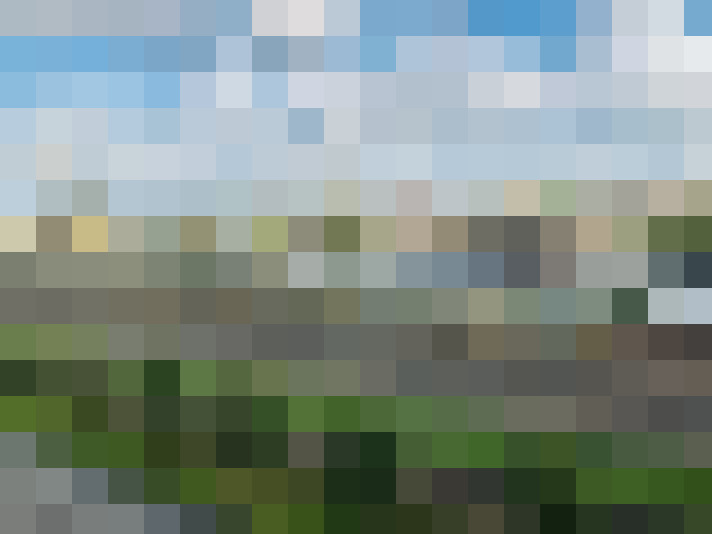 Image 26