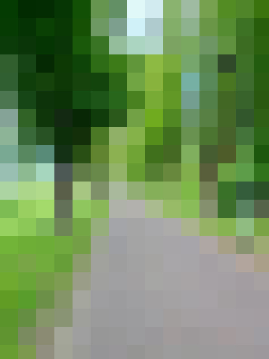  / #16