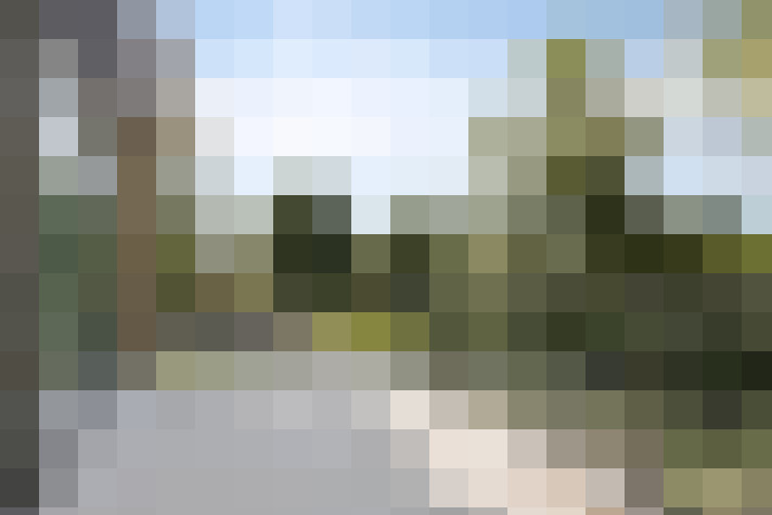 Image 13