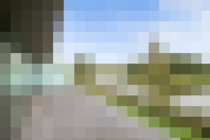 Image 26
