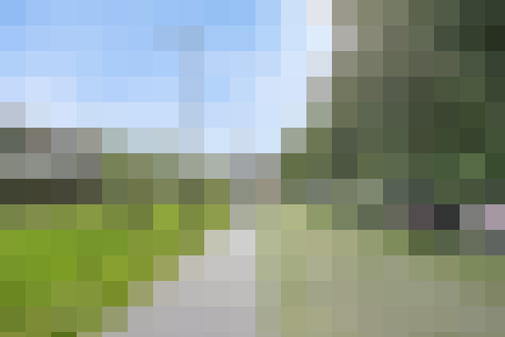 Image 33