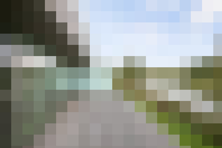 Image 24