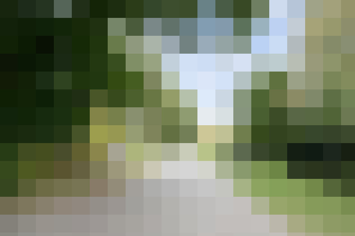 Image 35