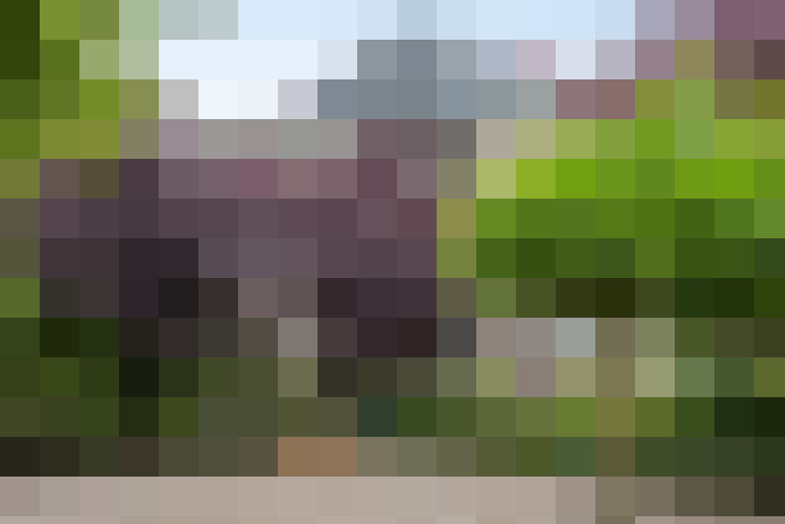 Image 17
