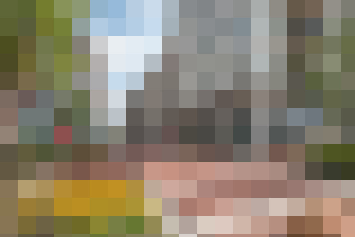 Image 30