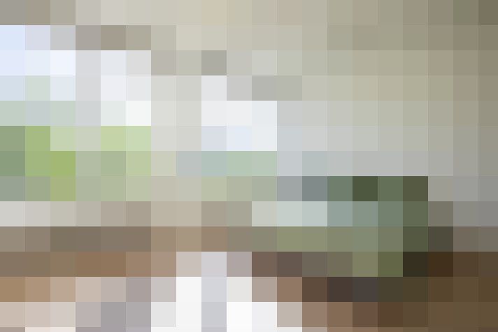 Image 31