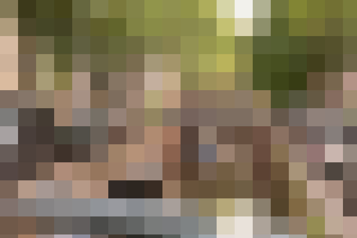 Image 31