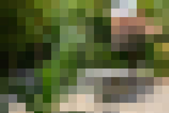 Image 25