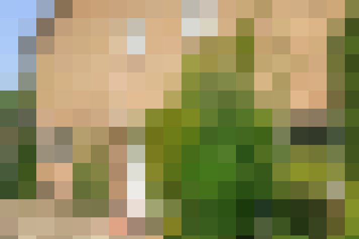 Image 26